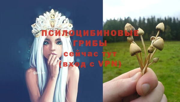 спиды Алексин