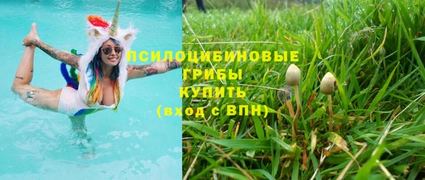спиды Алексин