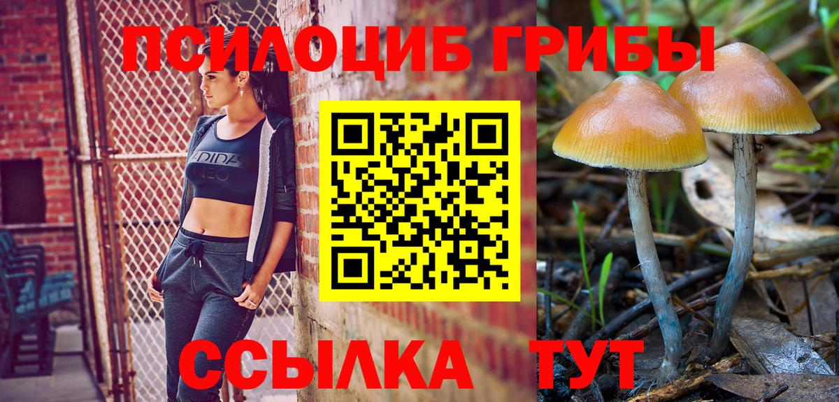 Галлюциногенные грибы MAGIC MUSHROOMS Грязи