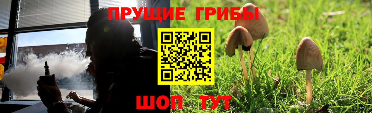 где можно купить   Псилоцибиновые грибы MAGIC MUSHROOMS  Вход с VPN  Псилоцибиновые грибы Cubensis  Грязи 